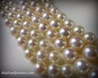 Akoya Pearl Bracelets and Necklaces